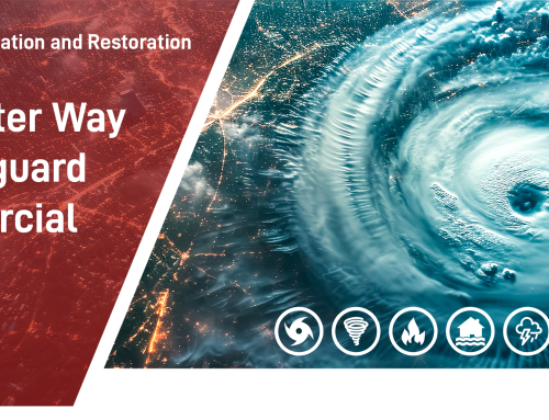 Hurricane Mitigation and Restoration